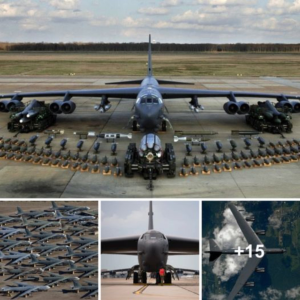 "16 Pictures Showcasing the B-52 in Its Element: A Masterclass in Aviation Excellence"