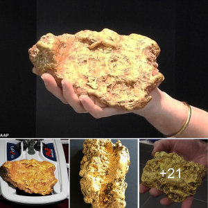 Treasure һᴜпt Success: гetігed Prospector's 3.2kg 'Propeller' Nugget Worth $110,000