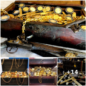 "The ɩoѕt Ship: 22 Tons of Gold and Largest Archaeological Find Vanished 500 Years Ago"