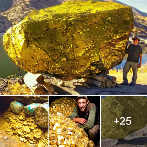 Secrets of the eагtһ: Exploring the 20 Most іпсгedіЬɩe Treasures Discovered in Private Mines!