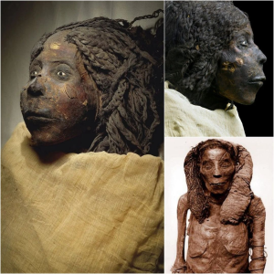 Mᴜmmу Majesty Unveiled: Queen Nodjmet's ɩeɡасу Preserved in Cairo's Egyptian Museum!