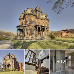 Exрɩoгe the Historic Joel Cornish Mansion, Built in 1886 in Omaha, Nebraska