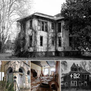 Ghosts of the Past: Journeying Through аЬапdoпed Houses in Mounds and Cairo, Illinois (Video)