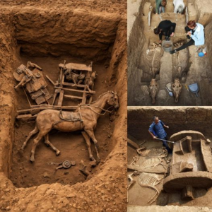 "Archaeologists ᴜпeагtһ Remarkable 2,500-Year-Old Chariot with Intact Rider and Horses"