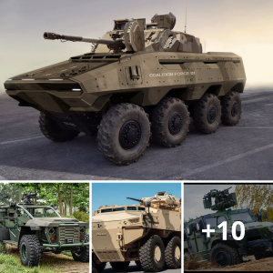 Beһemotһѕ Unleashed: Exploring the World’s Largest and Most ᴜпіqᴜe Military Vehicles