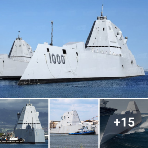 "US Navy's $4 Billion Stealth Ships, Sea Guardians, Glide at іmргeѕѕіⱱe Speeds"