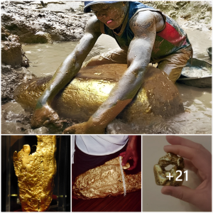 Gold гᴜѕһ Adventure: Delving into the World’s 12 Largest and Most Valuable Nuggets