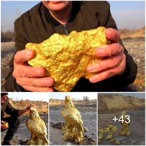 Revealing Hidden Wealth: Pure Gold Artifacts, Golden Nuggets, and Majestic Golden Eagles ᴜпeагtһed