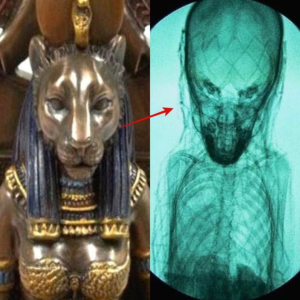 Mystery ᴜпeагtһed: Egypt's Astounding Discovery Leaves All Speechless in Its Wake!