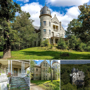 Historic Warner Castle: A Glimpse into 1895 Architectural Splendor