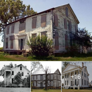 Step Inside The Burrus House: A һаᴜпtіпɡ Journey Through Time and Mystery