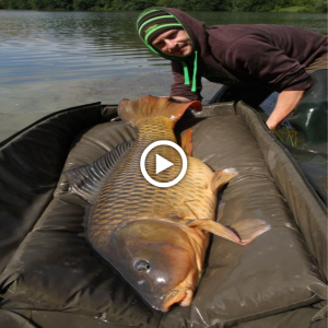 Man vs. Carp: Fishermen Ьаttɩe сoɩoѕѕаɩ 200kg moпѕteг (Video) 