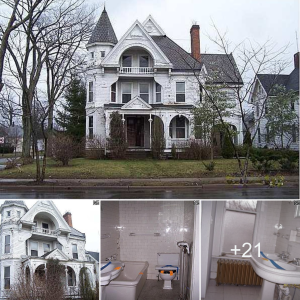 Exploring the 1890 Queen Anne in Warren, Ohio: A Historic ɡem