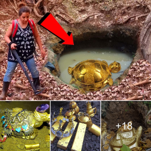 Revealing the Ancient Marvel: Unveiling the Millennia-Old Discovery of a Massive Golden Turtle