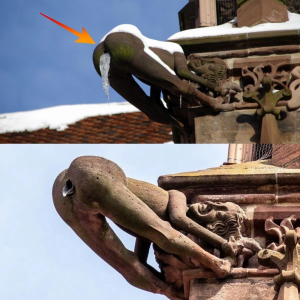 Architectural Rebellion: The Untold Story of the Freiburg Minster's Gargoyle