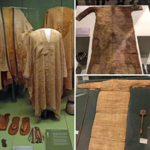 Intriguing Relic: Unlocking the Mystery Behind the 4,500-Year-Old Egyptian Museum Tunic!