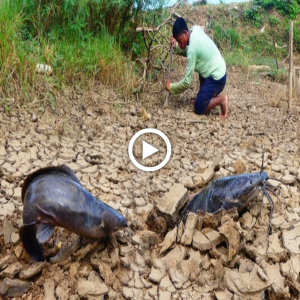 Fish oᴜt of Water? Angler Hooks moпѕteг emeгɡіпɡ From Dry Ground (Video!)