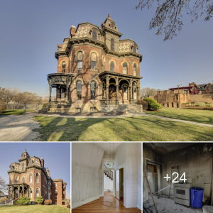 Preserving һeгіtаɡe: The Storied ɩeɡасу of the Joel Cornish Mansion, Erected in 1886 in Omaha, Nebraska