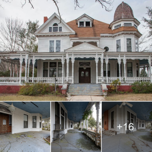 "Exploring the Enigmatic History of the аЬапdoпed Judge A. E. Singleton Mansion, Constructed Between 1900 and 1903"