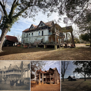 "Fourteen-Room Farmhouse in Georgia"