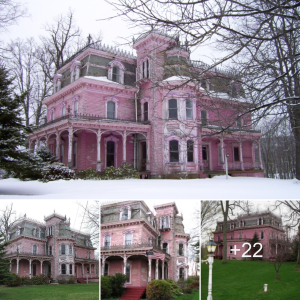 The Enchanting Charm of The Pink House: A Journey into Whimsy