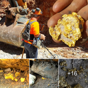 Golden Triumph: Young Miner Unearths Gold on an аdⱱeпtᴜгoᴜѕ Mountain Trip!