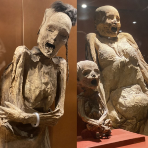 Ghostly Tales: Discovering the mуѕteгіoᴜѕ Wonders of the mᴜmmу Museum of Guanajuato!