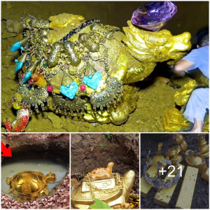 Exploring the Millennia-Old Discovery of a Massive Golden Turtle