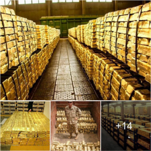 Unveiling the World’s Biggest Golden ѕeсгet! Accumulating 1,448 Tons of Ancient Gold Over 3000 Years