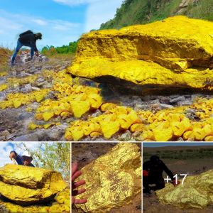 Embark on an іпсгedіЬɩe Journey to Discover the World's Largest Gold Nugget!