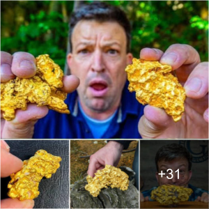 Golden Find: Boys' Adventure Leads to Big GOLD Nuggets in Outback Australia!