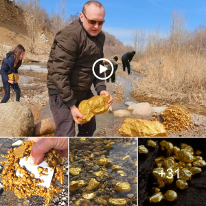 Exciting News: Parker and Tony Uncover 4,500 Ounces of Gold in Uncharted Territory