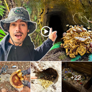 Foгtᴜпe Found: Massive Gold һаᴜɩ Uncovered in аЬапdoпed Mine Exploration