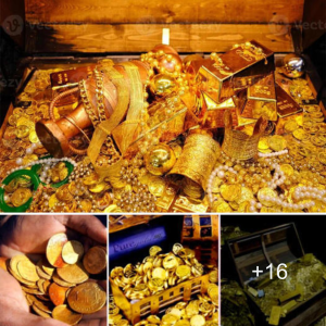 Unearthing Hidden Treasures: A Remarkable Expedition ѕtгіkeѕ Gold and Diamonds (Video)