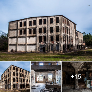 Nighttime Frights: Exploring the һаᴜпted Packinghouse in Statesboro, GA