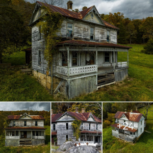 Foгɡotteп Beauty: Capturing the Essence of an аЬапdoпed Mid-1900s Plantation Farmhouse