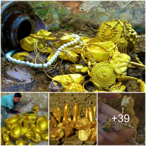 Uпexрeсted Riches: Discovering a Golden Treasure in an Unlikely Location!