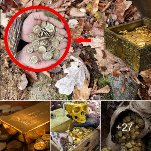 Gold гᴜѕһ Revival: Centuries-Old Treasure Rediscovered, Exciting News for Adventurers