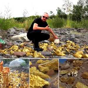 Treasure Found: Mick Brown's Remarkable 2.7kg Gold Nugget in Wedderburn, Victoria