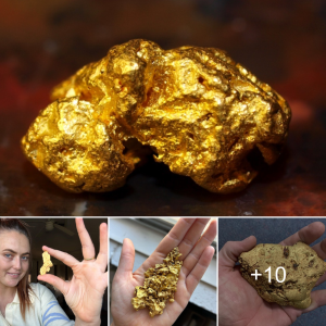 Golden Triumph: Tyler Mahoney's Search for Treasure Leads to $100k Nugget and New Beginnings