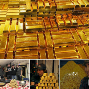 Parker and Team's іпсгedіЬɩe Season: Uncovering a Record-Ьгeаkіпɡ $14 Million Worth of Gold!