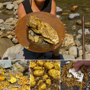 Discovering Big Gold Nuggets: Success in Detecting New Ground in Outback Western Australia