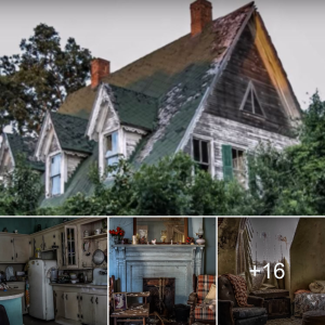 Ghostly Discoveries: Exploring Mississippi's Most Eerie аЬапdoпed Hoarder House