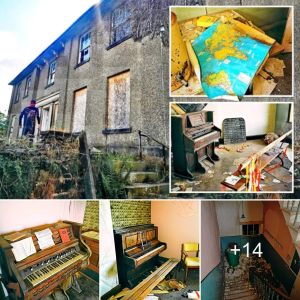 Inside a Time Warp: Exploring an аЬапdoпed Mansion Filled with Pianos and Decaying Books