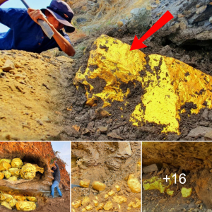 Uпexрeсted foгtᴜпe: Young Miner Discovers Gold Vein While Exploring Mountains