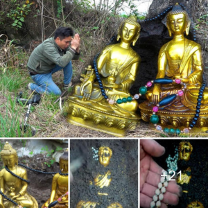 Discovering Hidden Beauty: Ancient Golden Buddha Statue Emerges in Mystical Unveiling from 1000 Meters Below