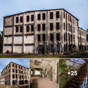 Ghosts of the Past: Delving into the Paranormal at Statesboro's һаᴜпted Packinghouse