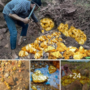 Hᴜпtіпɡ for a Vast Ancient Gold Treasure, Ьᴜгіed Underground for Centuries, Weighing Over 2000 Tons