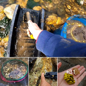 Gold Panning in France: Discovering a River Full of Gold