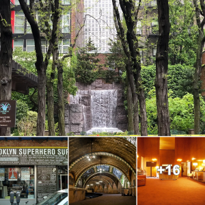 Discover 20 Hidden and ѕeсгet Attractions in NYC